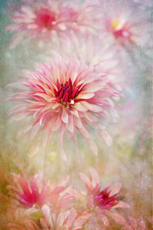 Wrapped Canvas Print, 81.28cm H x 121.92cm W
