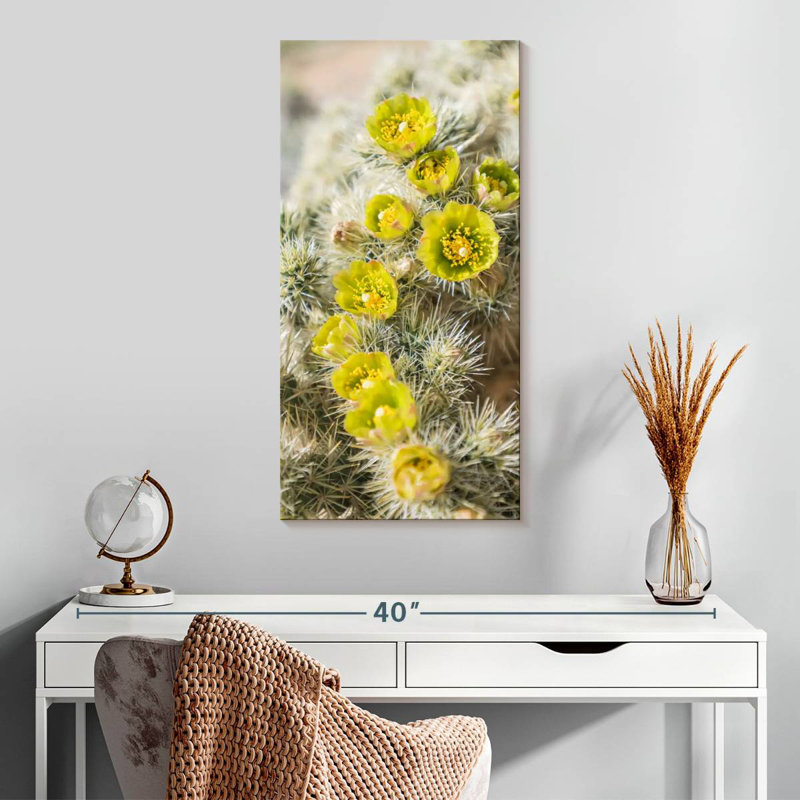 Cactus argenté Cholla, H 30 po x l 15 po