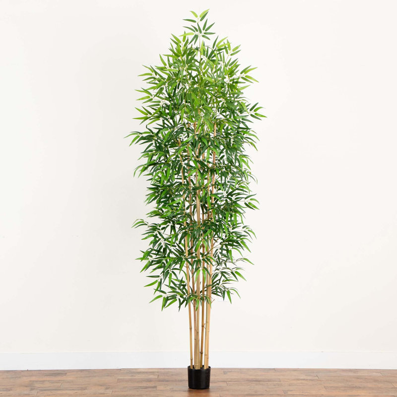 108 po Faux bambou en pot