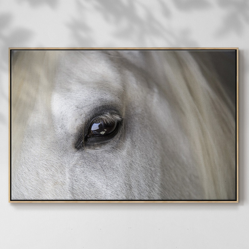 Balearic Island Horse, peinture sur toile encadrée, H 27 po x l 41 po x P 2 po, Cadre en bois naturel