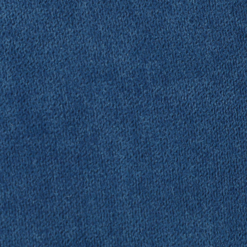 Agastya 18.7'' H Tufted Upholstered Parsons Chair, Blue