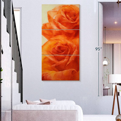 Classic Roses