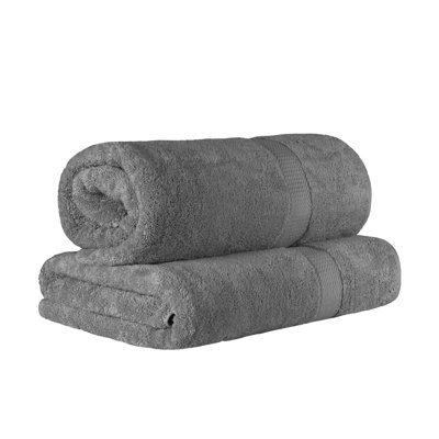 Renata 2 Piece 800 GSM Certified Egyptian Cotton Bath Sheet Set 