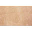 One-of-a-Kind Rectangle 8'3" X 14'2" Area Rug