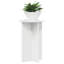 Plant Stand-53245885-53245791