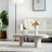 Modern Coffee Table-358476160-351643544