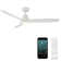 Skylark 3 - Blade Indoor/Outdoor Smart Ceiling Fan with Adjustable CCT 2700K-3000K-4000K-5000K LED Light Kit and Remote Control Included, Works With Alexa and iOS or Android App