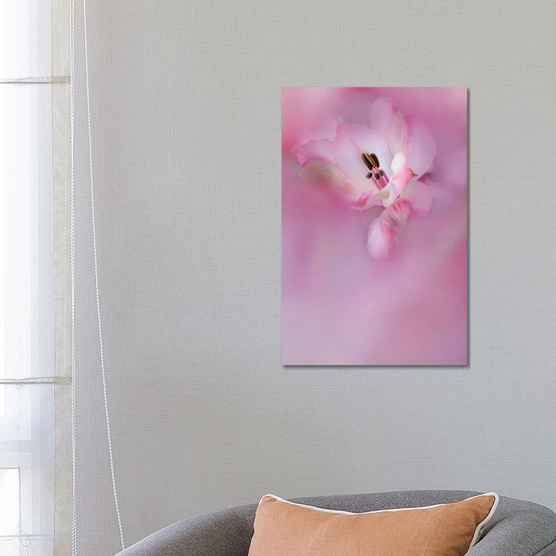 Usa, California. Close-Up Of Alstroemeria Flower. by Jaynes Gallery - Wrapped Canvas Painting, 66.04 cm H x 45.72 cm W