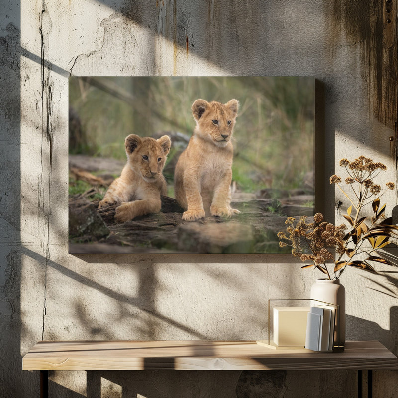 Wrapped Canvas Print, 50.8 cm H x 76.2 cm W