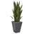 Sansevieria Artificial Plant in Slate Planter