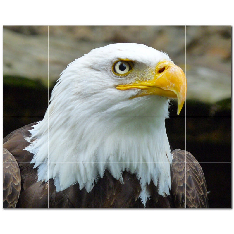 Murale en céramique satinée Bird Photo 12 po x 12 po Bird