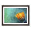 Blooming Orange Magnolia Flower Painting 1 Piece Single Picture Frame Wall Art on MDF-56633724-56633728