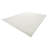 Indoor Plush Area Rugs, 8 x 10 ft Soft Plush Carpet, Furry Shag Area Rugs for Living Room, Bedroom, Sunroom, Modern Home Decor Aesthetic, Non-Shedding, Non-Woven, Slip-Resistant, Ivory White
