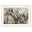 Cactus Sun-971416905-971416904
