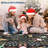 Washable Christmas Runner – Non-Slip,  Soft, Low Pile, Stain-Resistant Carpet for Hallway, Laundry, Kitchen (Red)-780308225