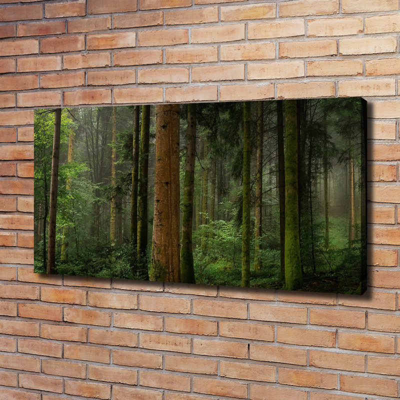 Fog In The Forest - No Frame Print on Canvas, 60cm H X 120cm W