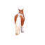 Poney Shetland