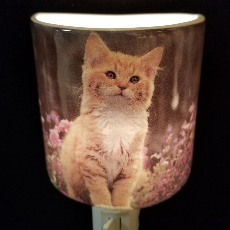 Kitten In A Field Night Light