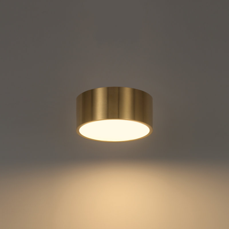 Modern Brass Cylindrical Flush Mount Ceiling Light