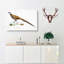 Reeves Pheasant Illustration by John Edward Gray - Wrapped Canvas-55337420