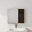 Armoire de salle de bain avec miroir