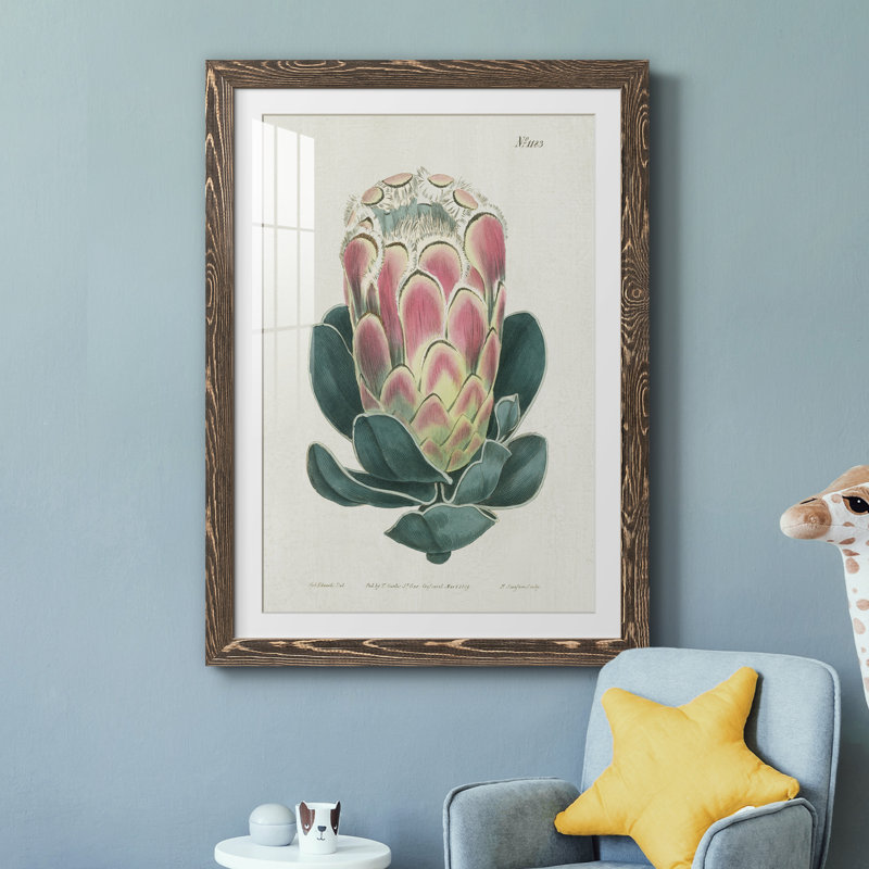 Protea N83 - Peinture encadrée, H 31,5 po x l 23,5 po x P 1,5 po, Encadré de bois de noyer