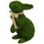 Lapin vert 10,5