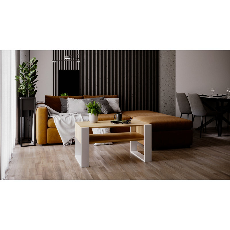 Ladante Sled Coffee Table with Storage