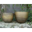 Colin Planter-159122913-159122926