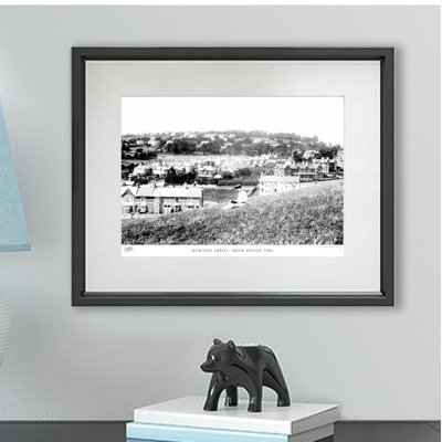 Newton Abbot, From Decoy 1906 by Francis Frith - Single Picture Frame Print