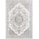 Akash Oriental Indoor Rug