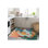 Washable  Palm Trees Hanging Monkey Patterned Modern Decorative Area Rug