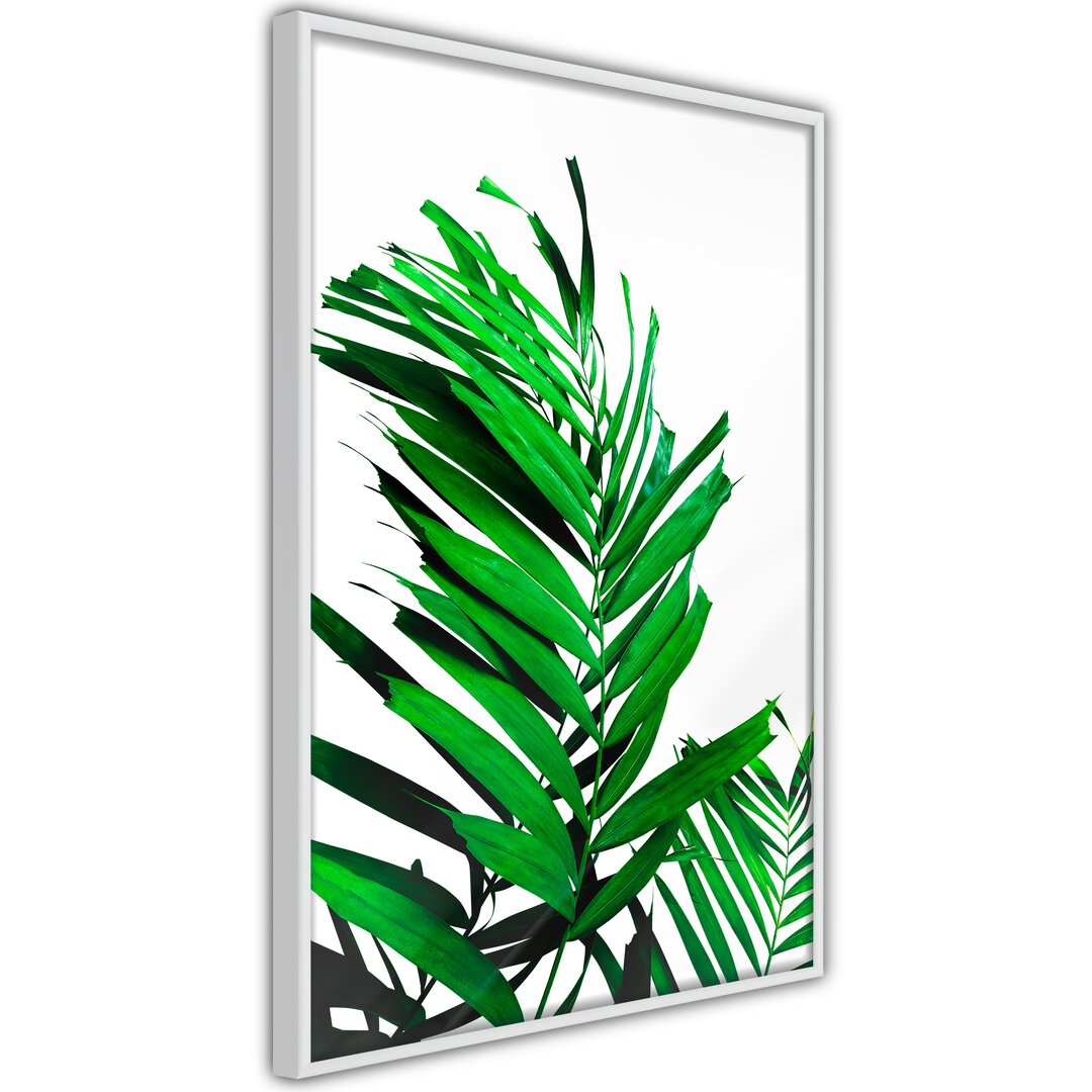 Gerahmter Fotodruck Emerald Palm