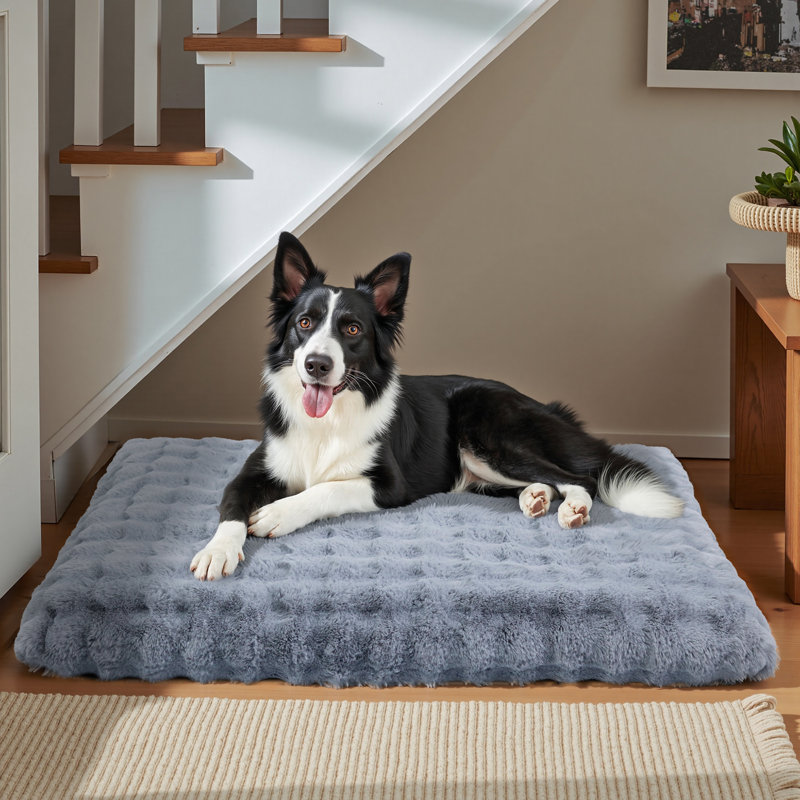 Dog Bed, 12cm H x 105cm W x 70cm D, Grey