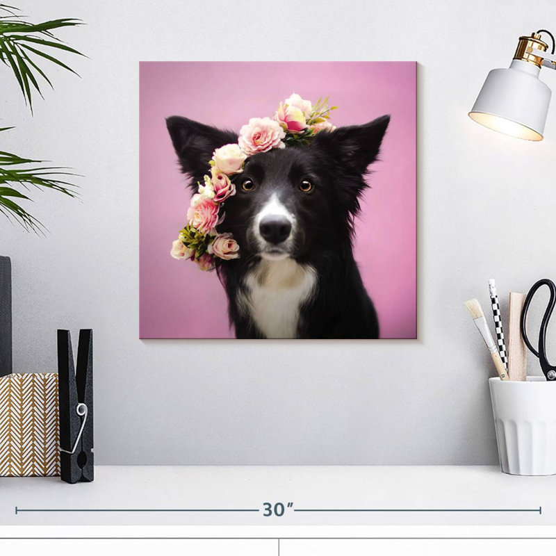 Border collie à fleurs Crowle, H 16 po x l 16 po