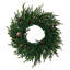 Couronne de Noël en cyprès préilluminée de 61 cm (24 po) avec 20 lumières DEL et pommes de pin pour porte d'entrée, mur et foyer