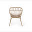 Chaise Harlem