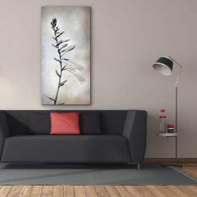 Epic Graffiti 'Hosta Blossoms 1'  by Lori Deiter Canvas Wall Art, 30" x 60"