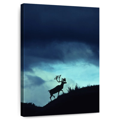 Silhouette de cerf au crépuscule