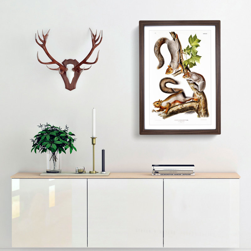 Migratory Squirrels by J.W. Audubon - Picture Frame Painting Print, 65cm H x 48cm W , Walnut Framed