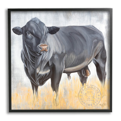«Stoic Bovins», art de la giclée par Diane Fifer