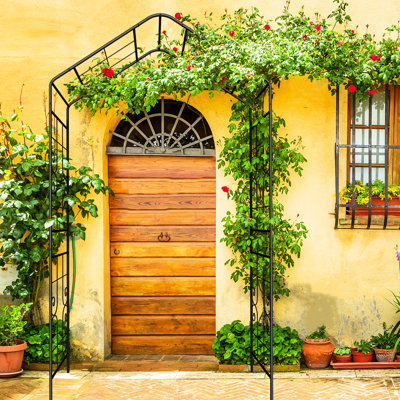 Arche de jardin en métal noir, L 56,3 po x l 16,97 po x H 94,5 po, pour l'extérieur. Peut accueillir un éventail de plantes grimpantes: lierre, rose, gloire du matin, jasmin. Conception enchanteresse et assemblage simple