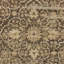 Empress Wool Damask Area Rug in Green-1580632657