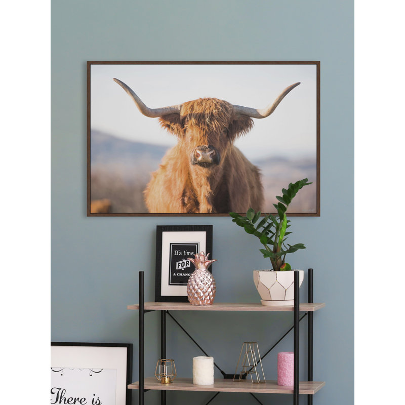 Highland Cow - Print, Floater Brow Framed Canvas, 30cm H x 30cm W x 3.81cm D