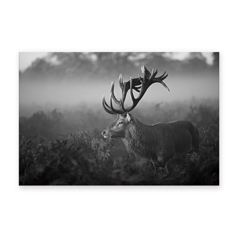 Nature Inspired Sunny Morning by  - Picture Frame Photograph on Paper, 24" H x 36" W x 1.5" D, Wrapped Canvas, Does Not Apply