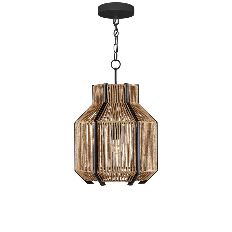 Luminaire suspendu unique en forme d'urne à 1 lumière avec accents en fer forgé Mali