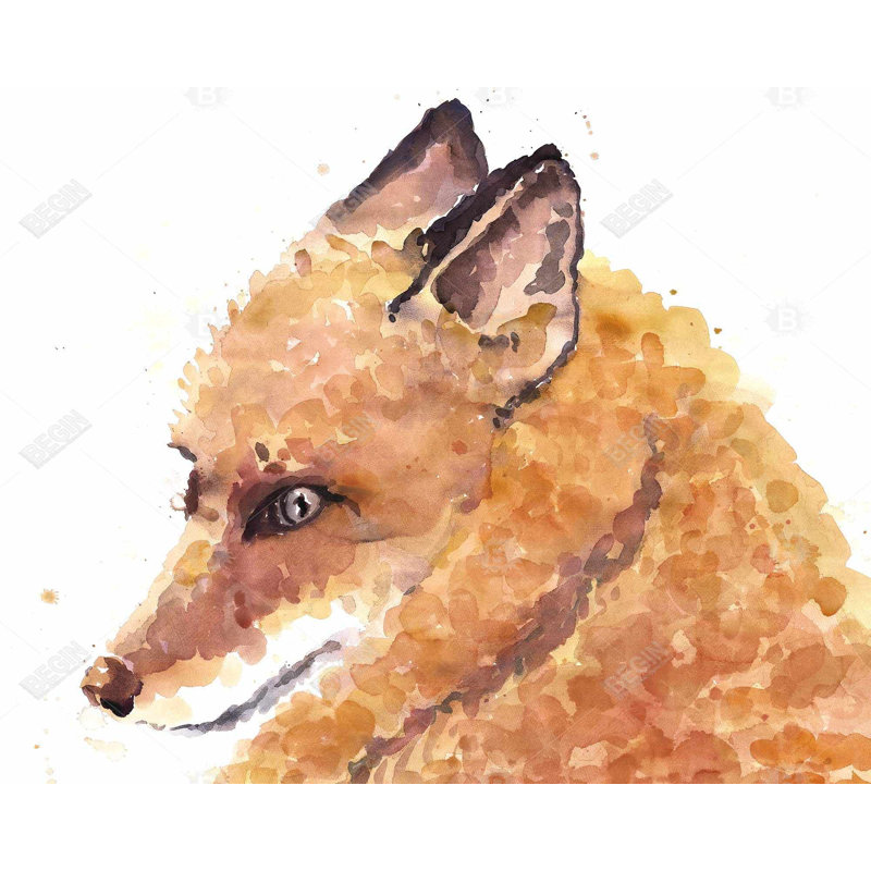 Fox Print On Canvas