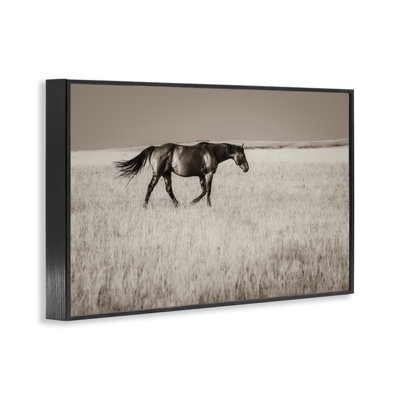 Dashing Montana Stallion Framed Giclee, design by Christy Berry