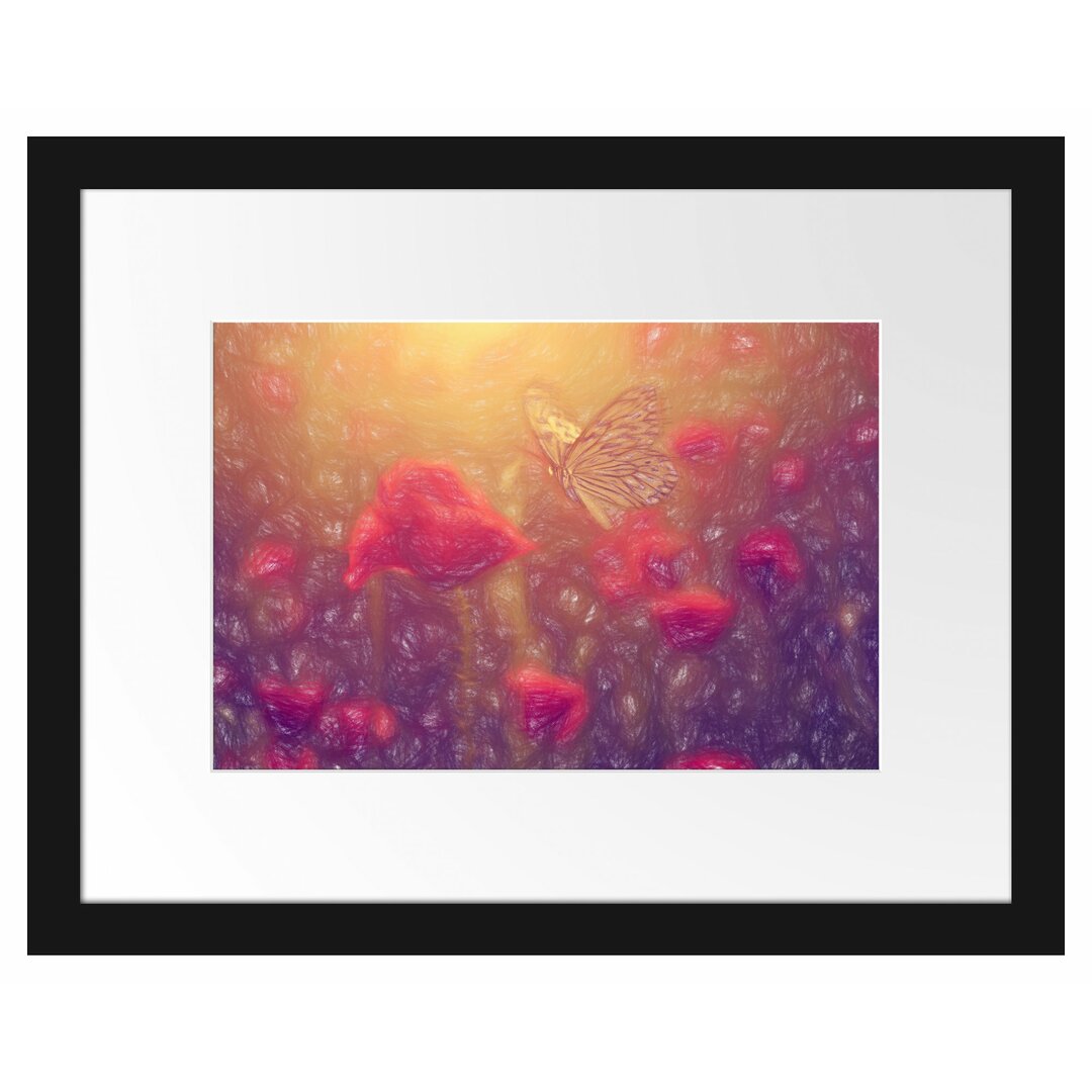 Gerahmtes Poster Mohn und Schmetterling