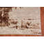 Tapis oriental transitionnel 8 x 10